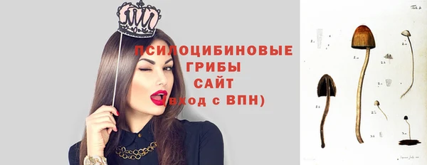 альфа пвп Новодвинск