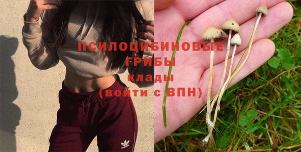 меф Нефтегорск