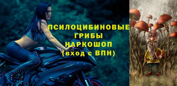 меф Нефтегорск