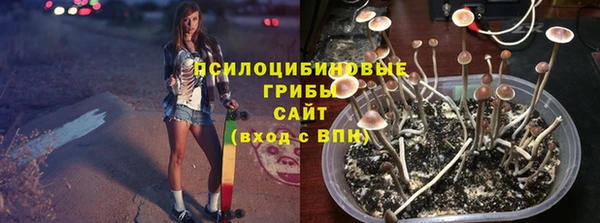 гидропоника Фёдоровский
